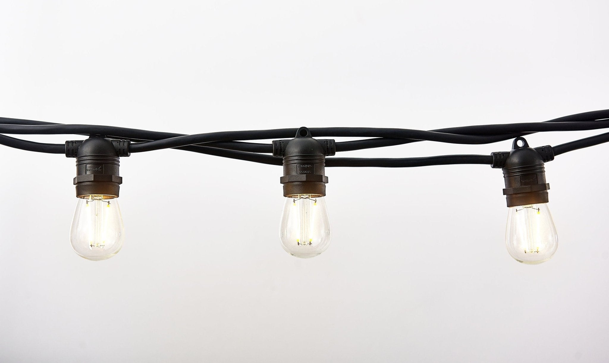 Vintage Edison Patio Lights (Summer '25 Add - On) - Clementine Home Floral Gift
