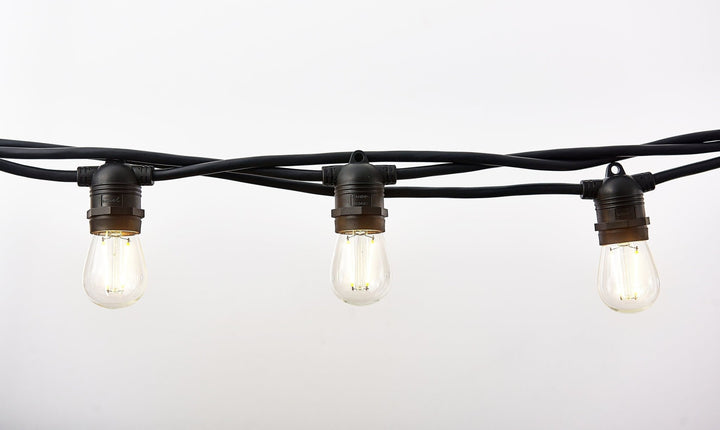 Vintage Edison Patio Lights (Summer '25 Add - On) - Clementine Home Floral Gift