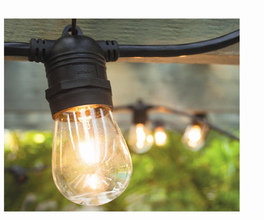 Vintage Edison Patio Lights (Summer '25 Add - On) - Clementine Home Floral Gift