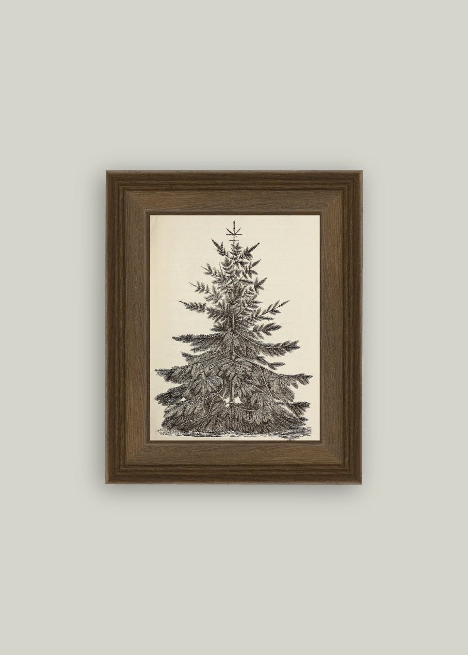 Vintage Pine Tree Framed Antique Art - Clementine Home Floral Gift