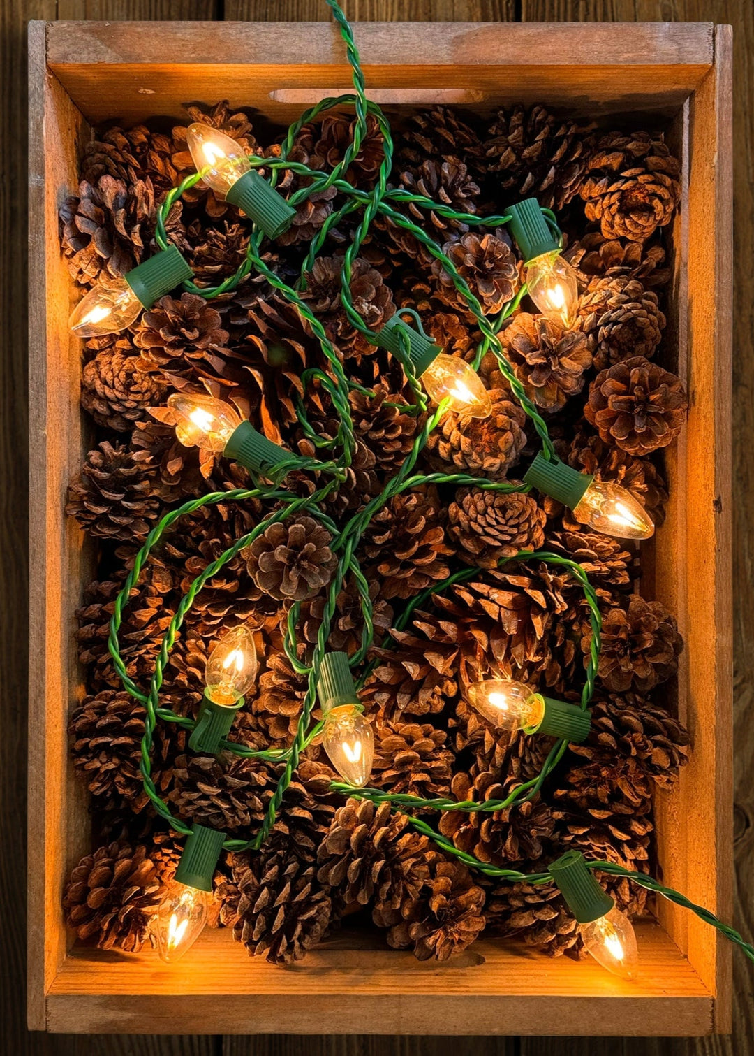 Vintage Style LED Christmas Lights – C7 25 - Light Set - Candleglow Clear - Clementine Home Floral Gift
