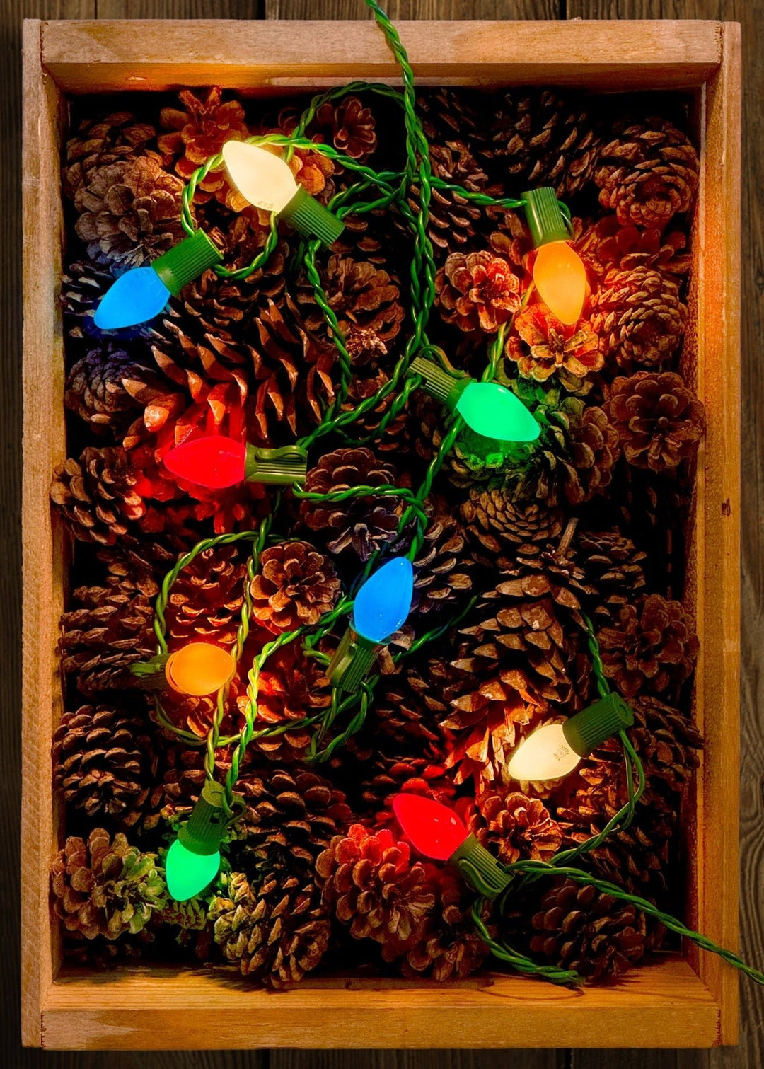Vintage Style LED Christmas Lights – C7 25 - Light Set - Classic Colour Opaque - Clementine Home Floral Gift