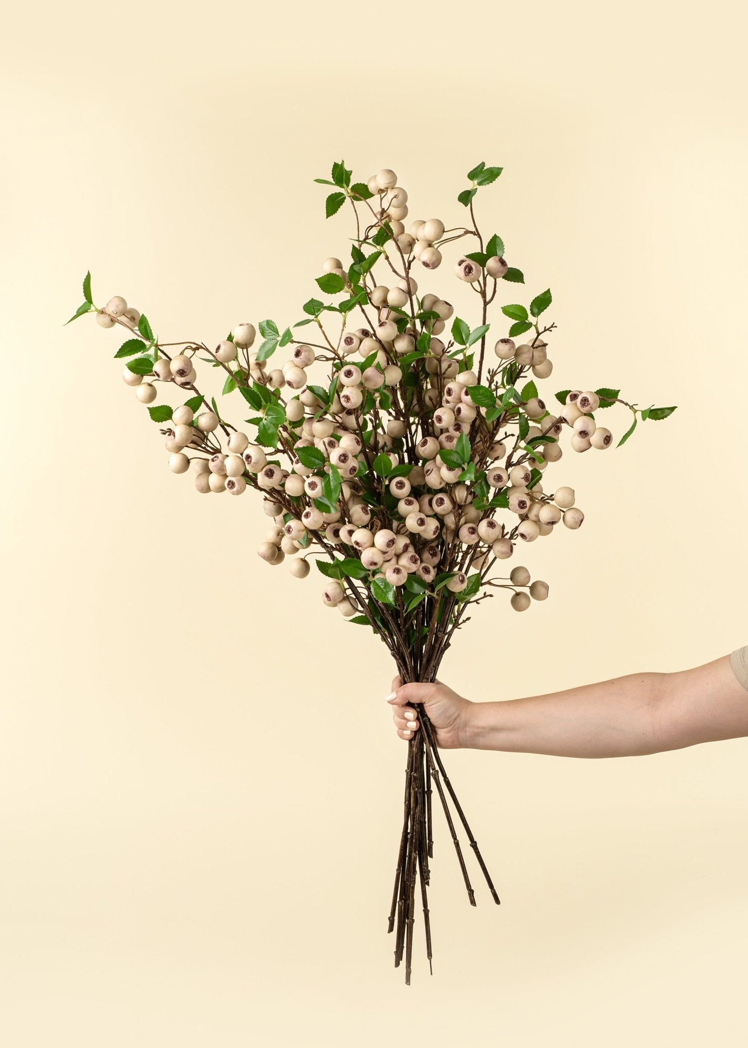 Wild Apple Berry Spray - Clementine Home Floral Gift