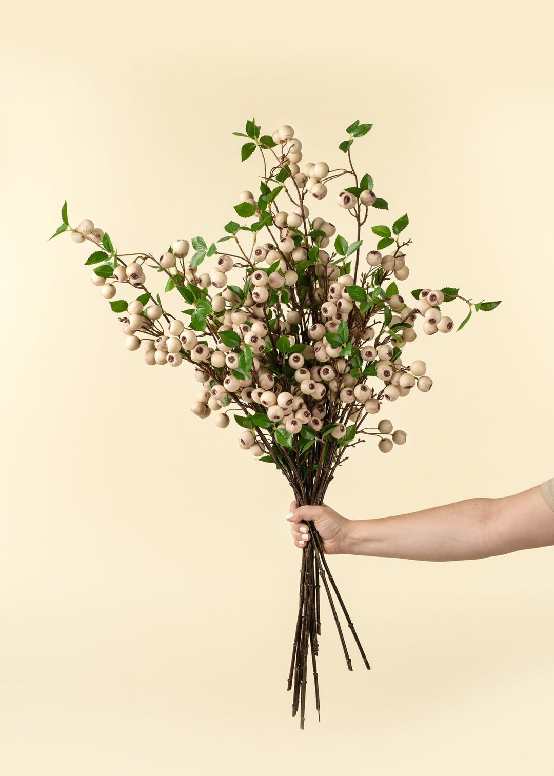 Wild Apple Berry Spray - Clementine Home Floral Gift