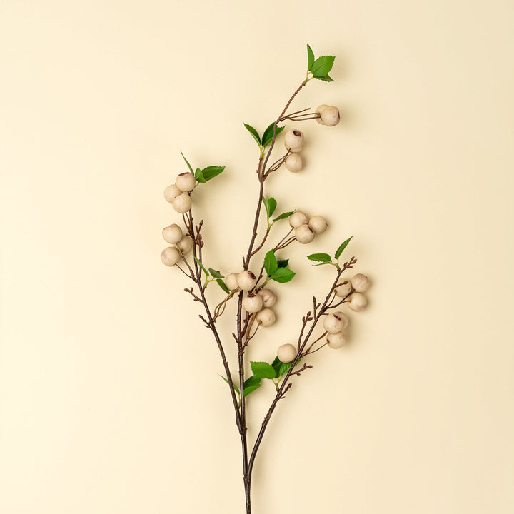 Wild Apple Berry Spray - Clementine Home Floral Gift