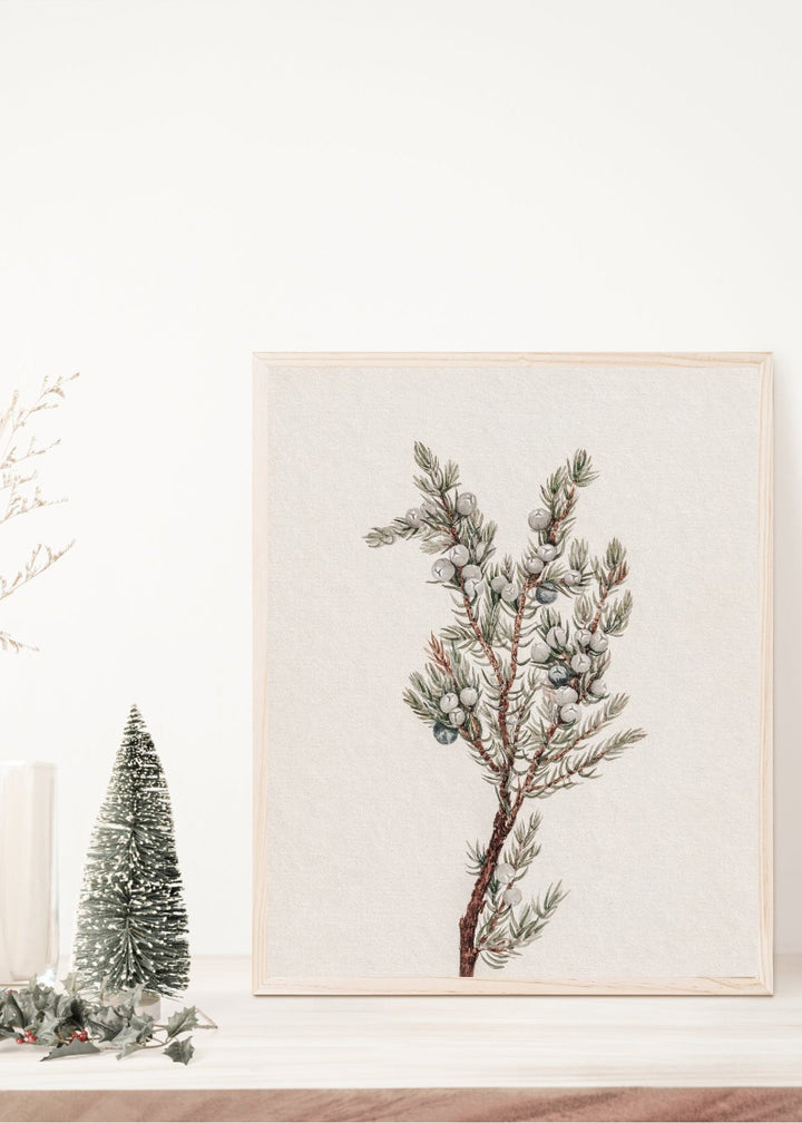 Winter Greenery Vintage Art Print - Clementine Home Floral Gift