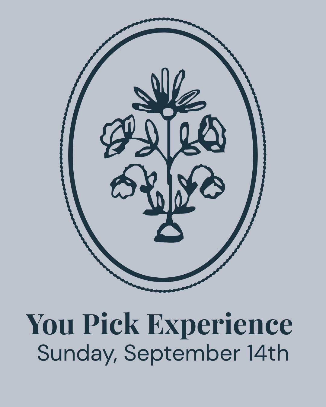 You Pick Experience - Sunday, September 14th - Clementine Home Floral Gift