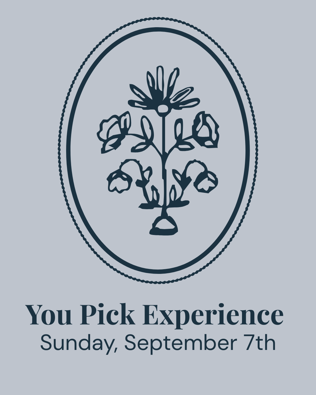 You Pick Experience - Sunday, September 7th - Clementine Home Floral Gift