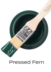 Pressed Fern