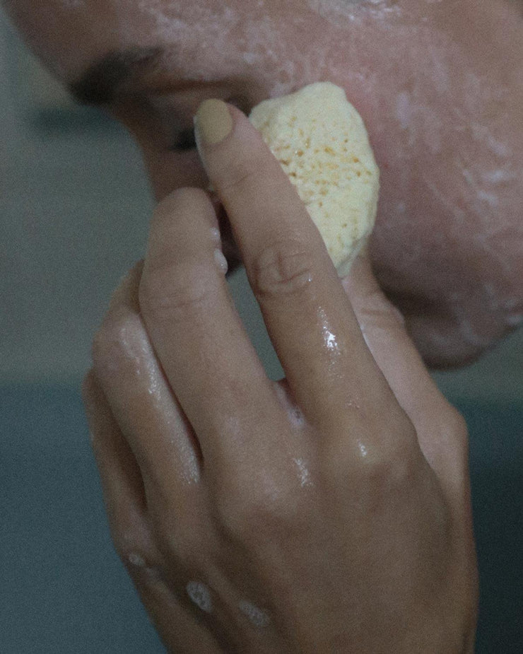 sea sponge - extra small