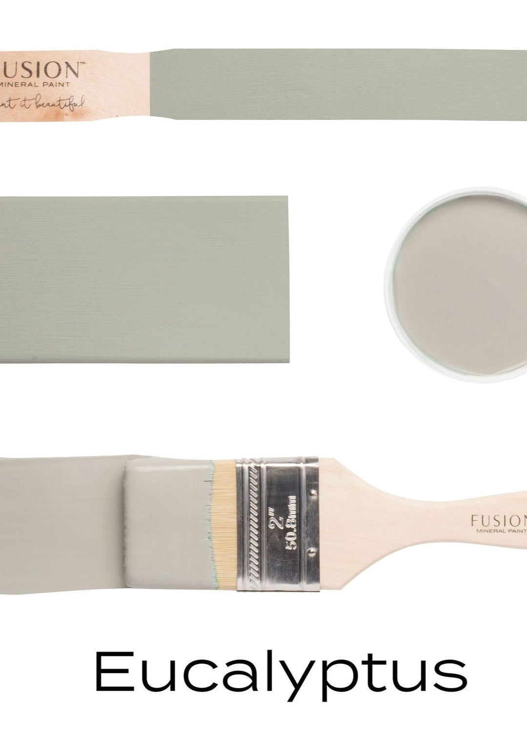 Eucalyptus - Clementine Home Floral Gift
