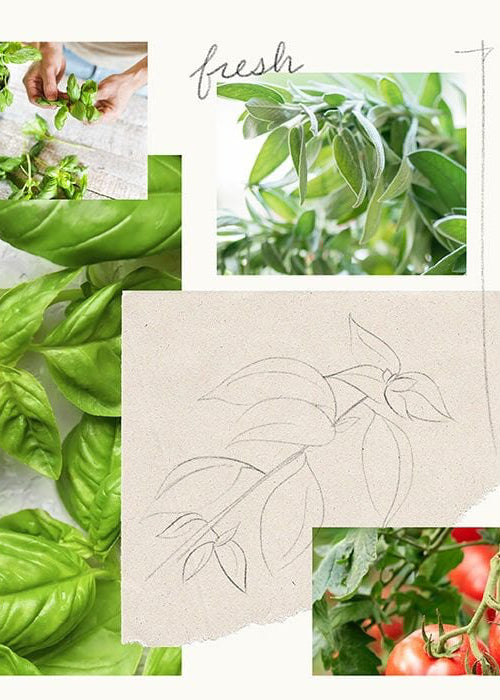 Fresh - Cut Basil - Pura Smart Home Diffuser Refill - Clementine Home Floral Gift