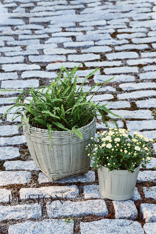 Lichen - Clementine Home Floral Gift