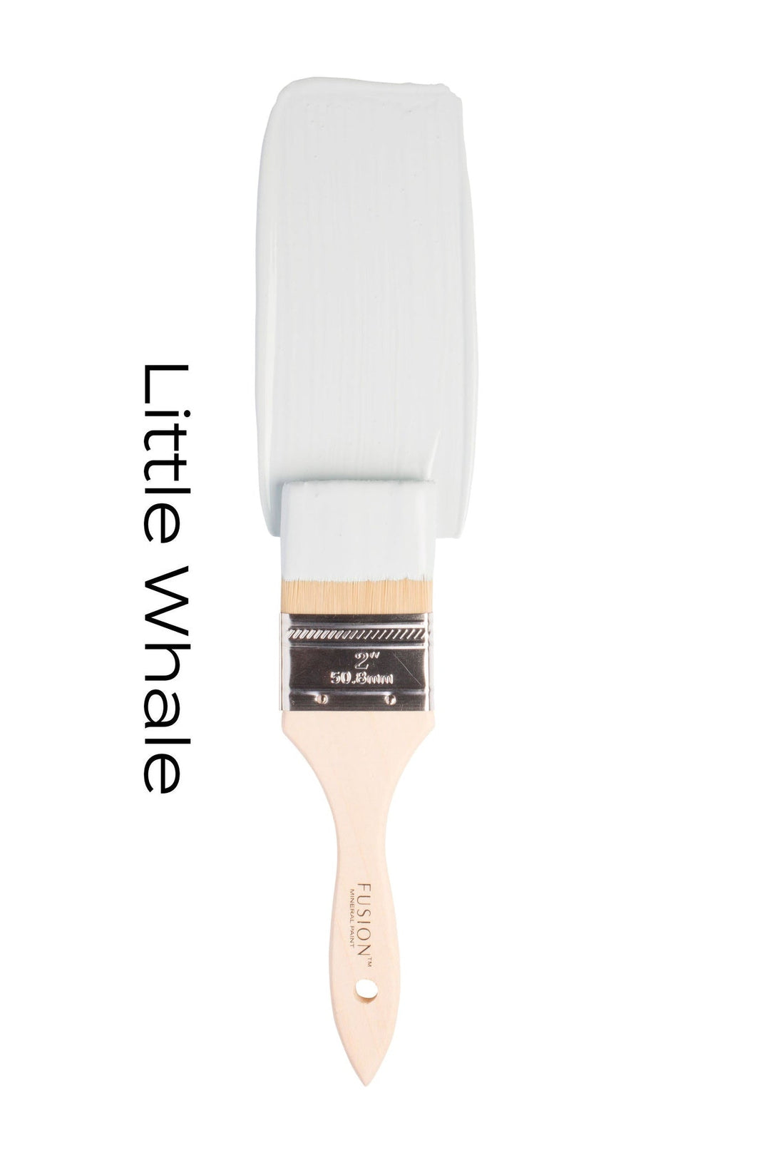 Little Whale - Clementine Home Floral Gift