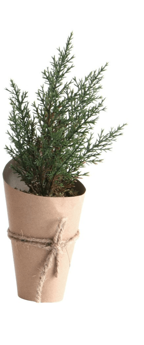Mini Faux Tree - Clementine Home Floral Gift