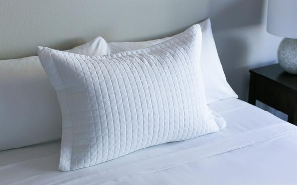 Pillow Sham, Set of 2 - White - Clementine Home Floral Gift