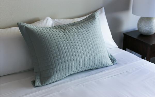 Pillow Sham, Set of 2 - Silver Blue