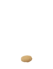 sea sponge - extra small